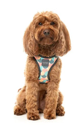 Carioca - Dog Step In Harness